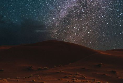 Learn more about the 12 tribes of Israel.