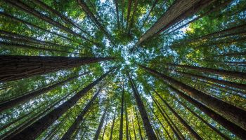 2 Peter 1:5-7: Spiritual Maturity Explained in Three Verses