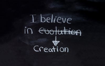 3 Reasons I Don’t Believe in Darwin’s Theory of Evolution