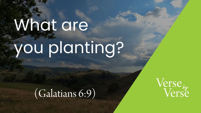 Jesus Is Coming Back. What Are You Planting? (Galatians 6:9)
