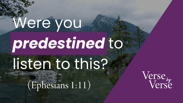 Were You Predestined To Listen to This Episode? (Ephesians 1:11)