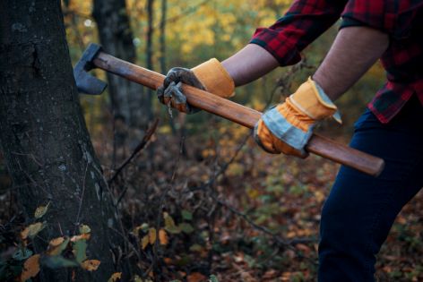 <p>&ldquo;Every tree that does not bear good fruit is cut down and thrown into the fire&rdquo; (Matthew 7:19).</p>