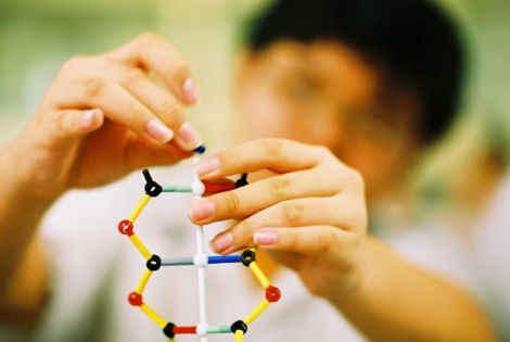 Can Christians Believe in Evolution?