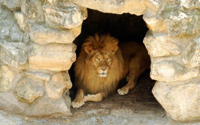 Daniel 6: Daniel in the Lions Den