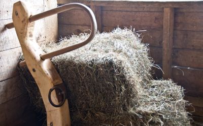 “My Yoke Is Easy”: Is Being a Christian Easy or Hard?