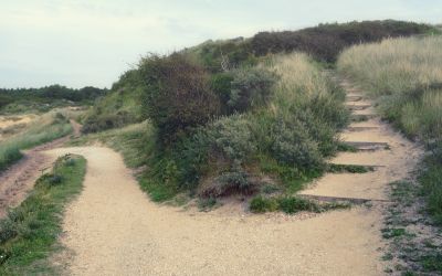 Following in His Footsteps