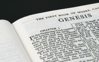 Genesis: A Book Offering Clarity to a Confused World