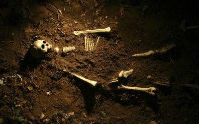 Many believe that humans existed before the creation of Adam and Eve. Considering the biblical account and the fossil evidence, who was the first man?