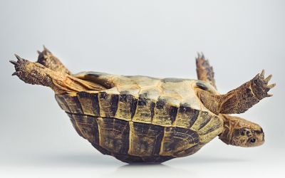 Seven Keys to Coping With the Trials and Tribulations of Life