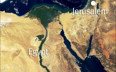 The King of the South