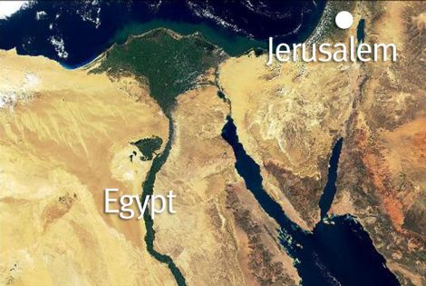 The King of the South