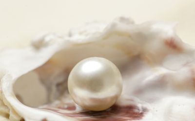 The Kingdom of Heaven Is Like… (parable of the pearl of great price)