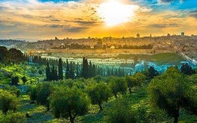 The Sermon Within the Olivet Prophecy