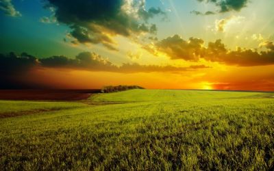 1000 Years the Millennium