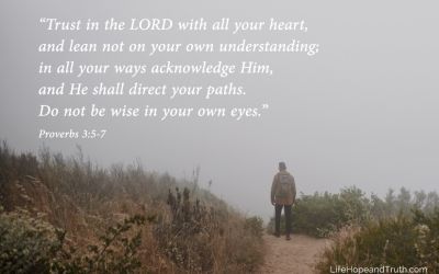 Uzzah and the Ark: Was God Unfair?