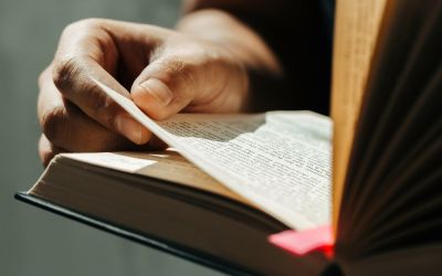 Photo of a person holding a Bible open, to illustrate the article 
