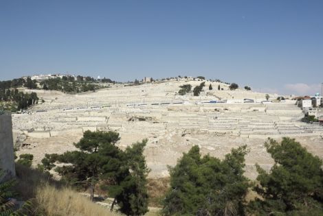 Where will Jesus return