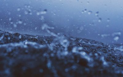 “You of Little Faith”