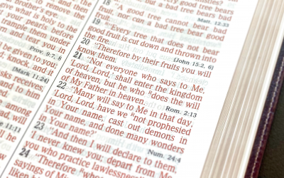 “Not Everyone Who Says to Me ‘Lord, Lord’ …”